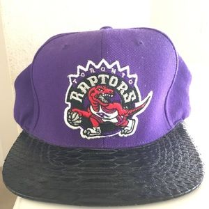 Toronto Raptors fitted hat